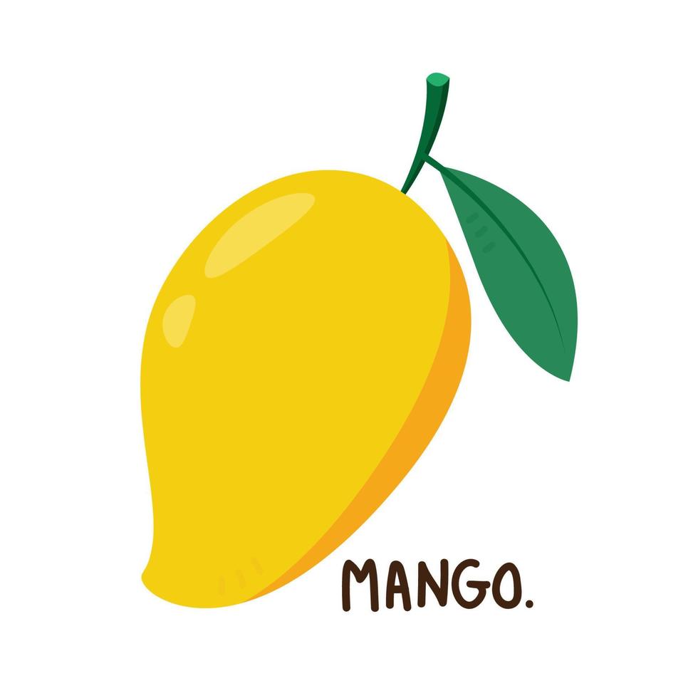 vecteur de mangue. mangue sur fond blanc. création de logos. vecteur de dessin animé de mangue.