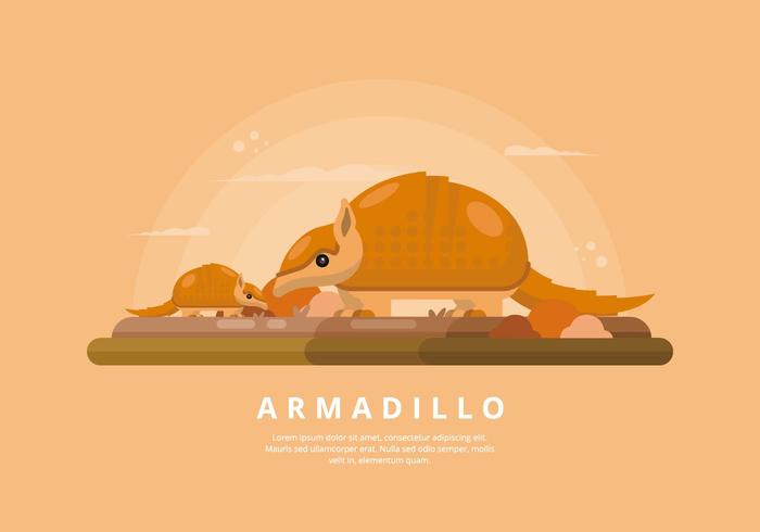 Illustration d'armadillo vecteur