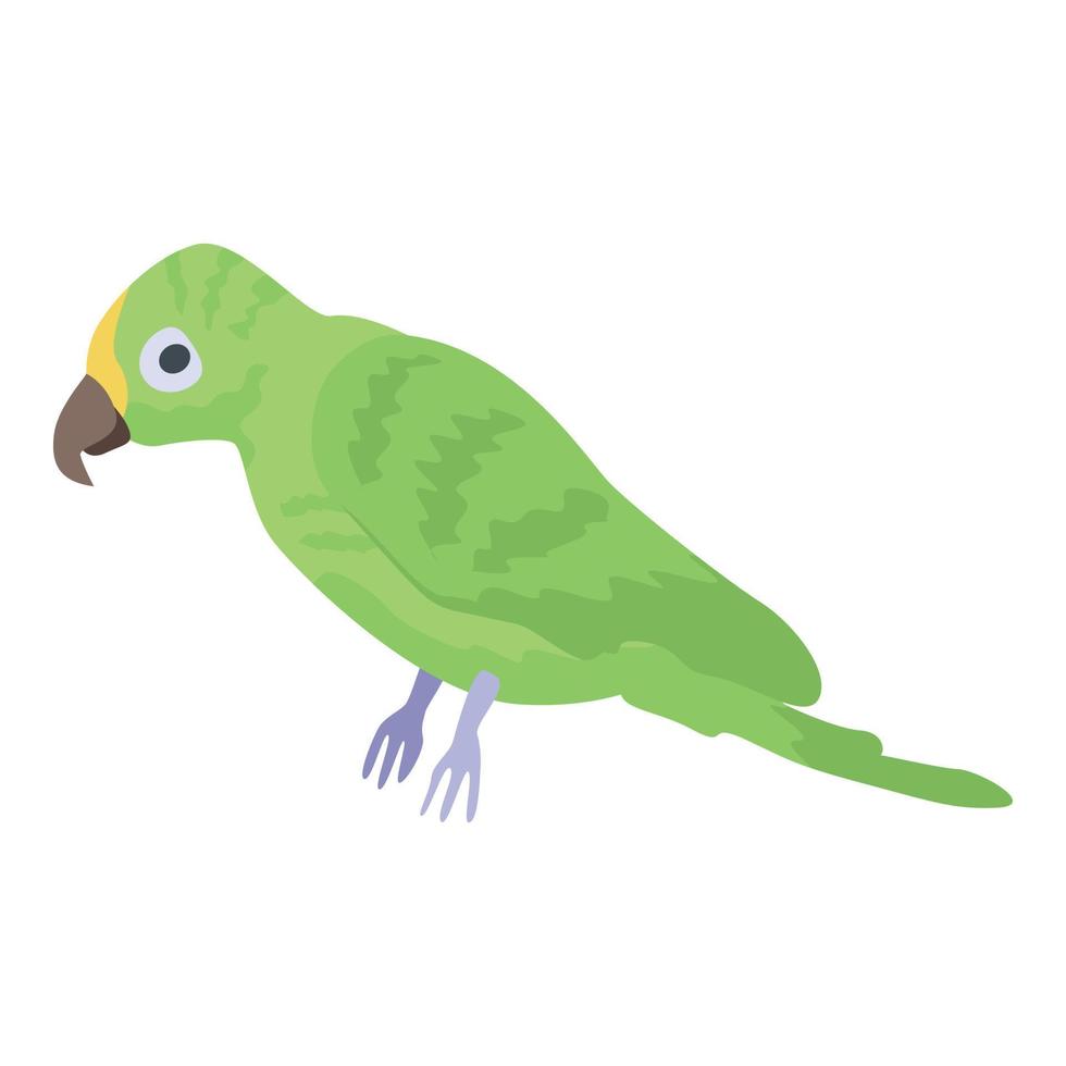 icône de perroquet vert, style isométrique vecteur