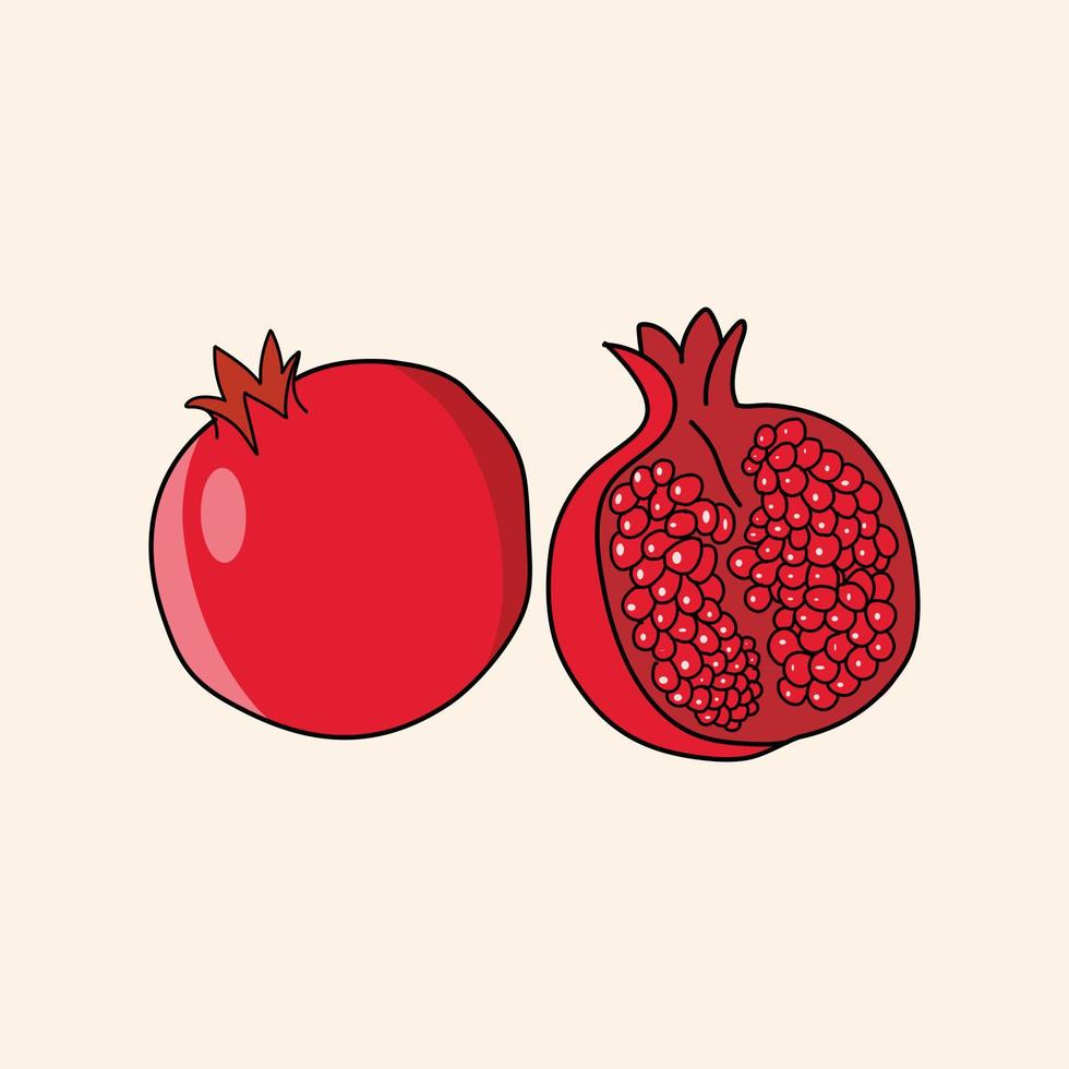 illustration vectorielle de fruits grenade vecteur