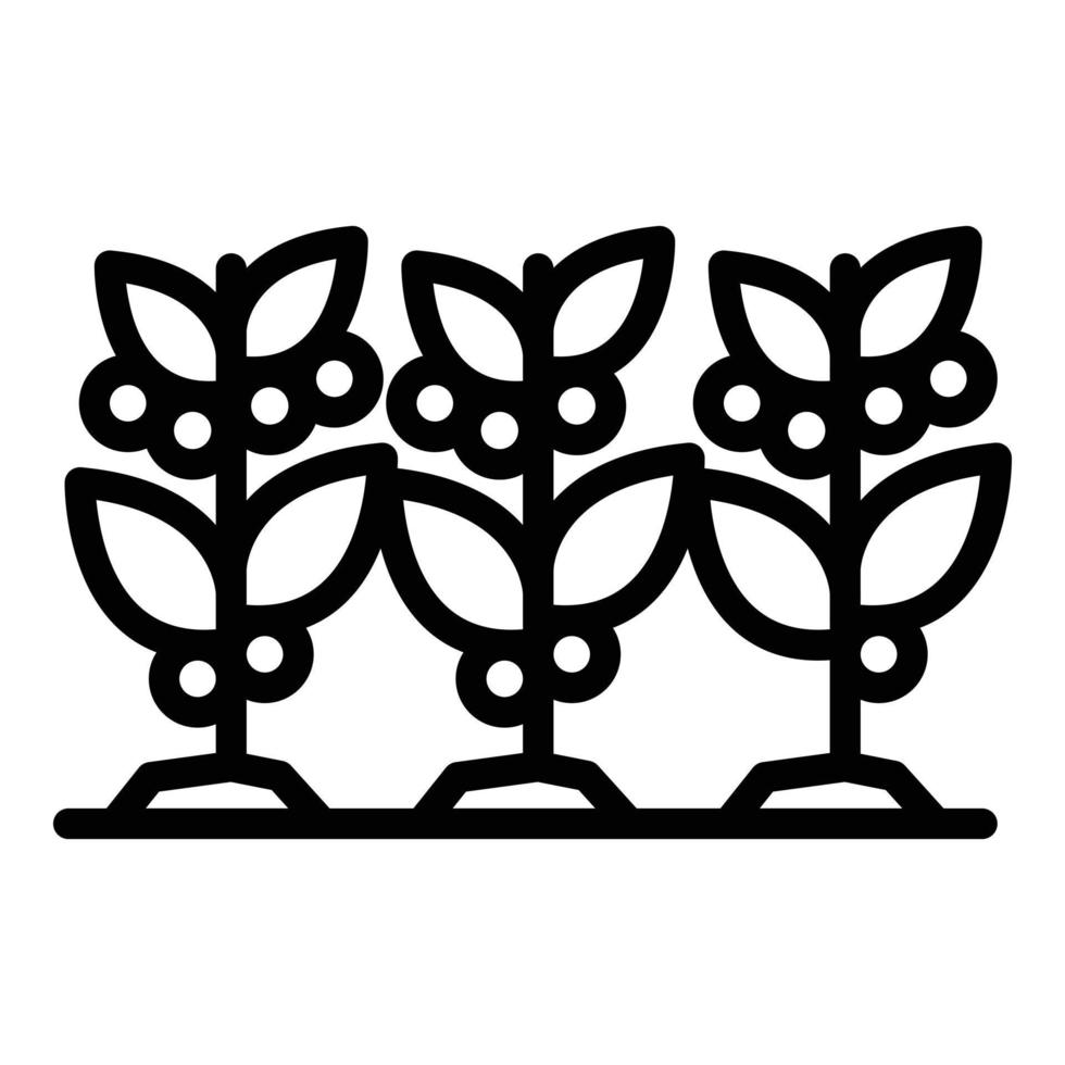 icône de plantes de café, style de contour vecteur