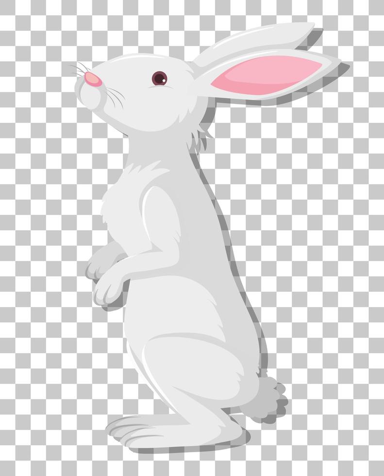 dessin animé de lapin blanc isolé sur fond transparent vecteur