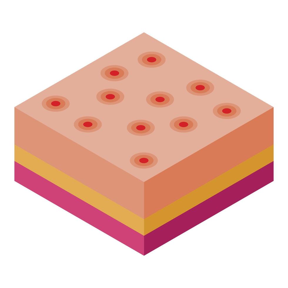 icône de varicelle de peau, style isométrique vecteur