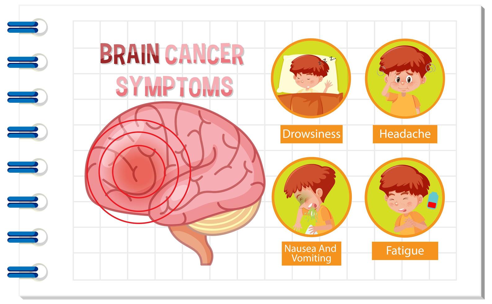 affiche d'information du diagramme du cerveau humain vecteur