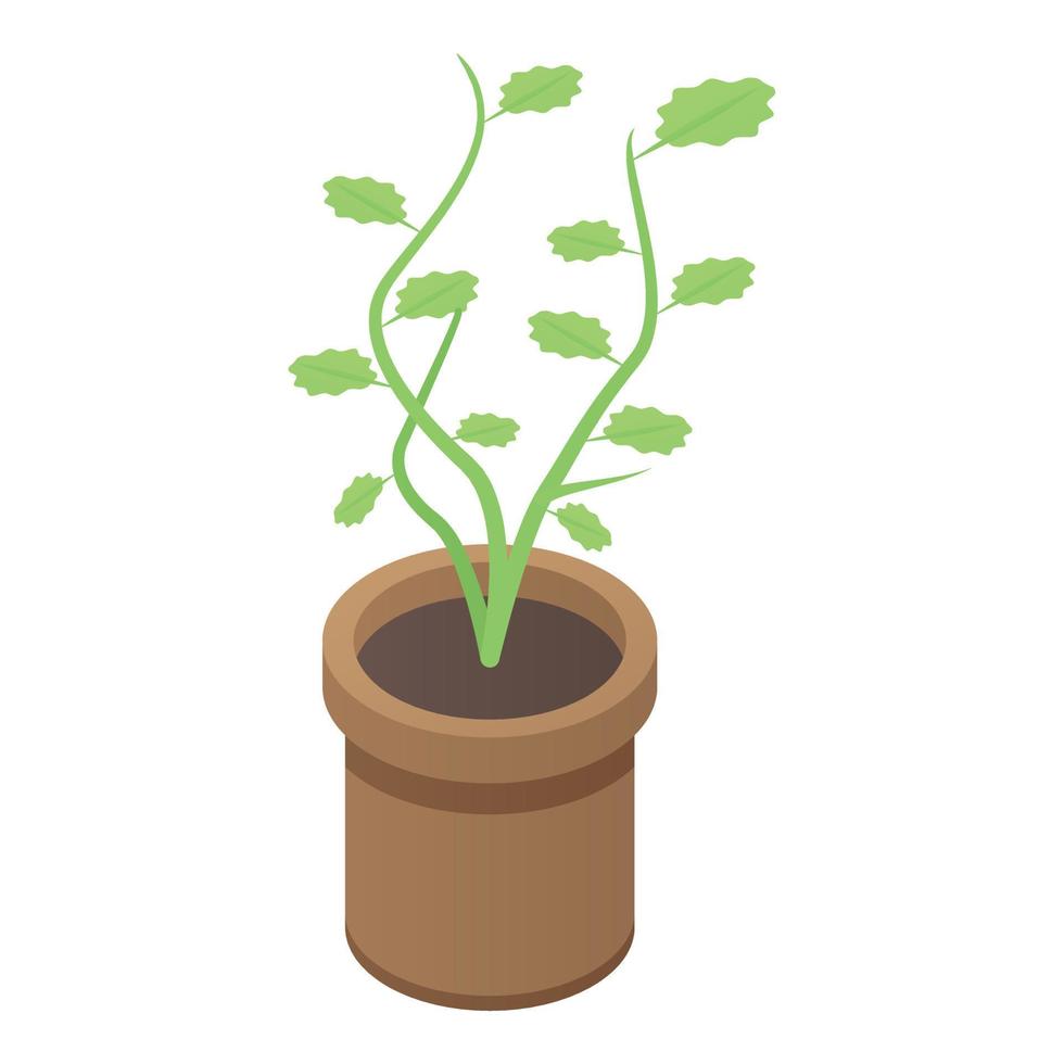 icône de pot de plante de ferme, style isométrique vecteur