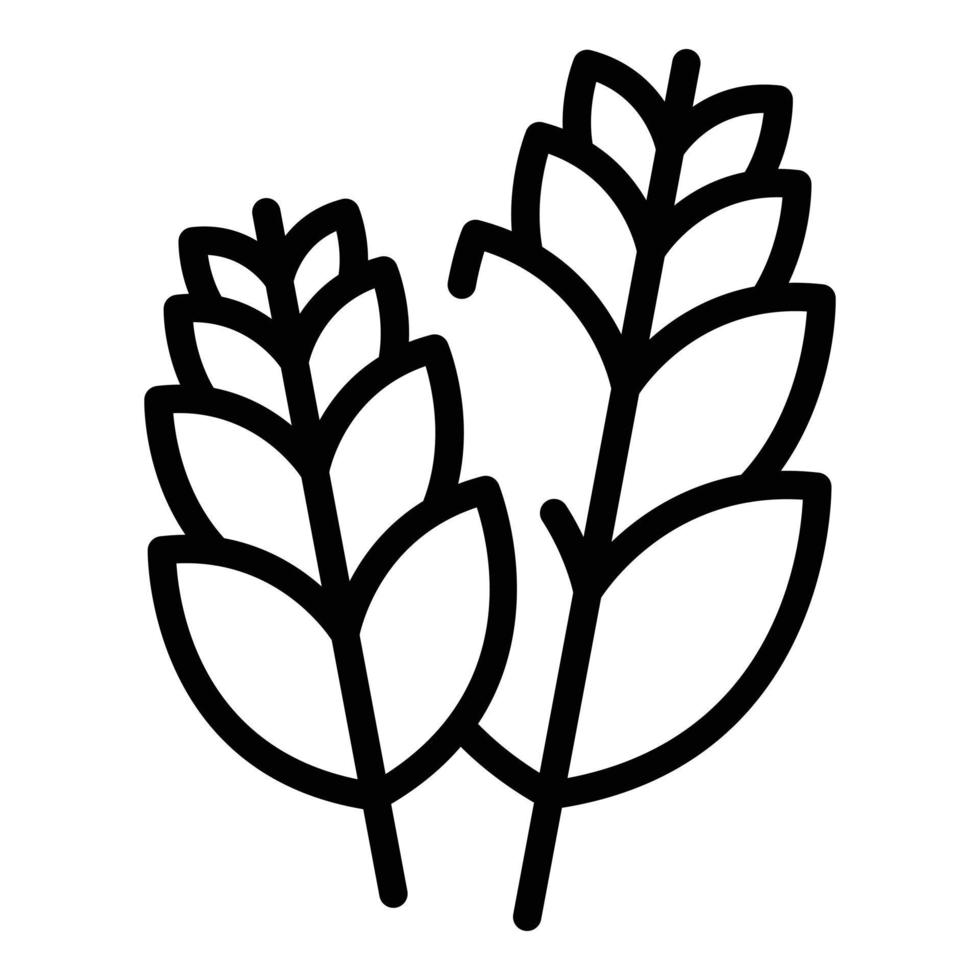 vecteur de contour d'icône de plante de blé. maïs-grain