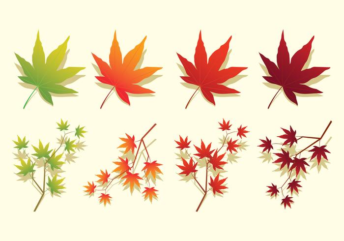 Feuilles d'érable japonaises Icônes vecteur