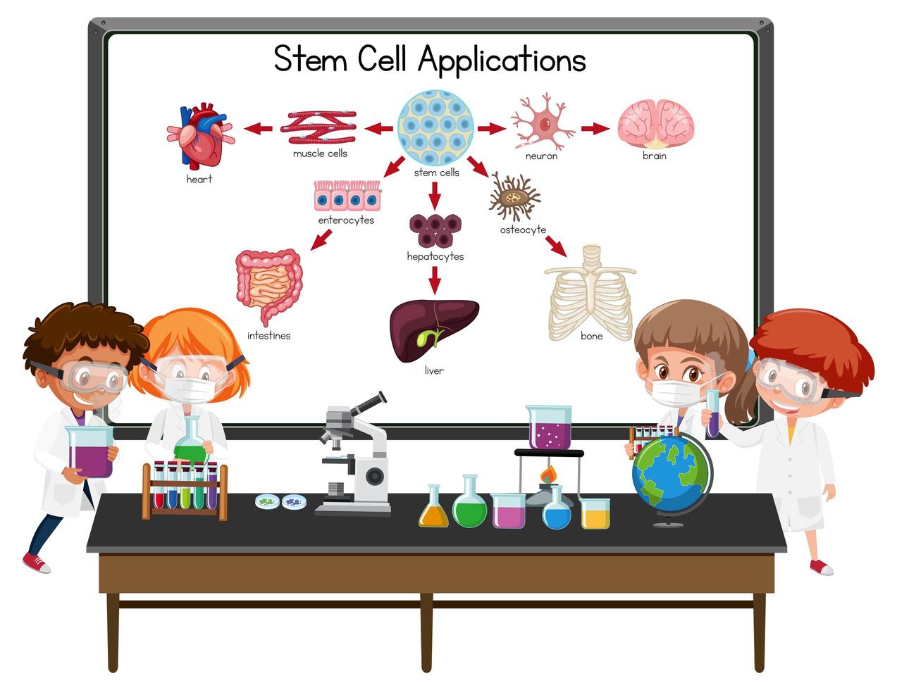 De nombreux jeunes scientifiques expliquant l'application des cellules souches devant un tableau avec des éléments de laboratoire vecteur