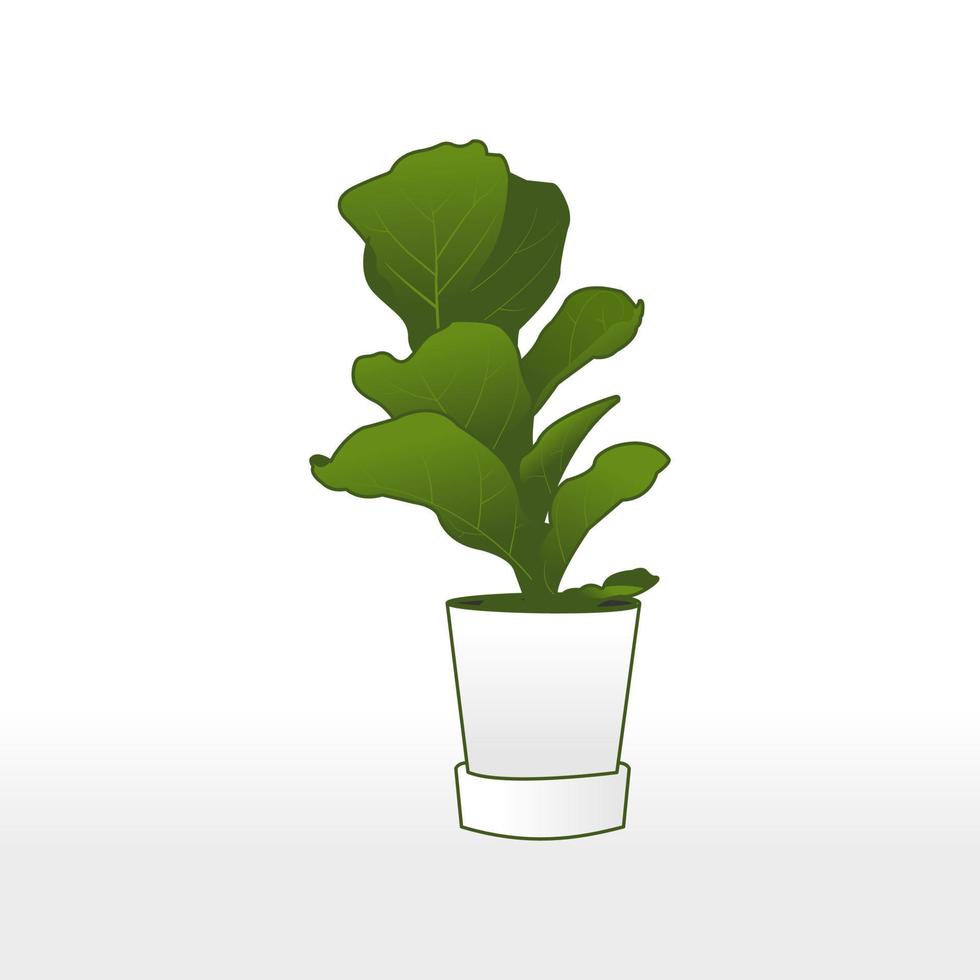 illustration graphique vectoriel de très belle plante