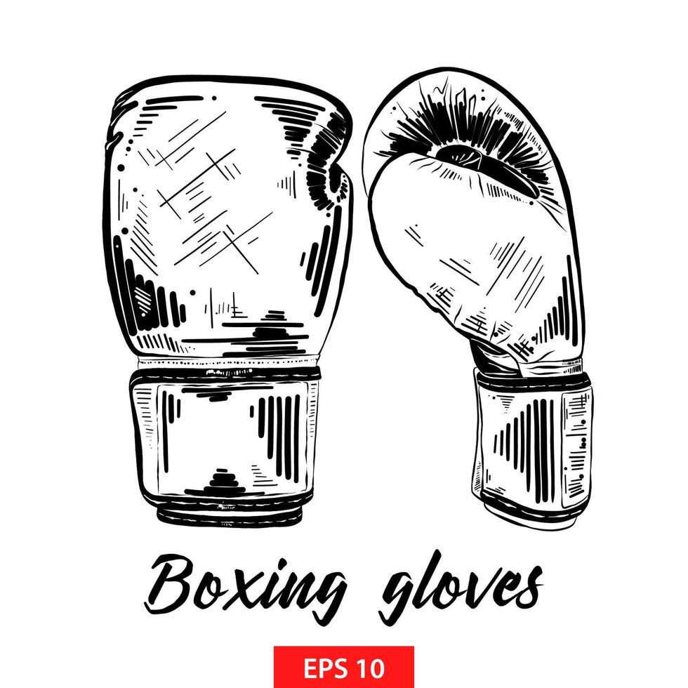 illustration de style gravé de vecteur pour les affiches, la décoration et l'impression. croquis dessiné à la main de gants de boxe en noir isolé sur fond blanc. dessin détaillé de style gravure vintage.