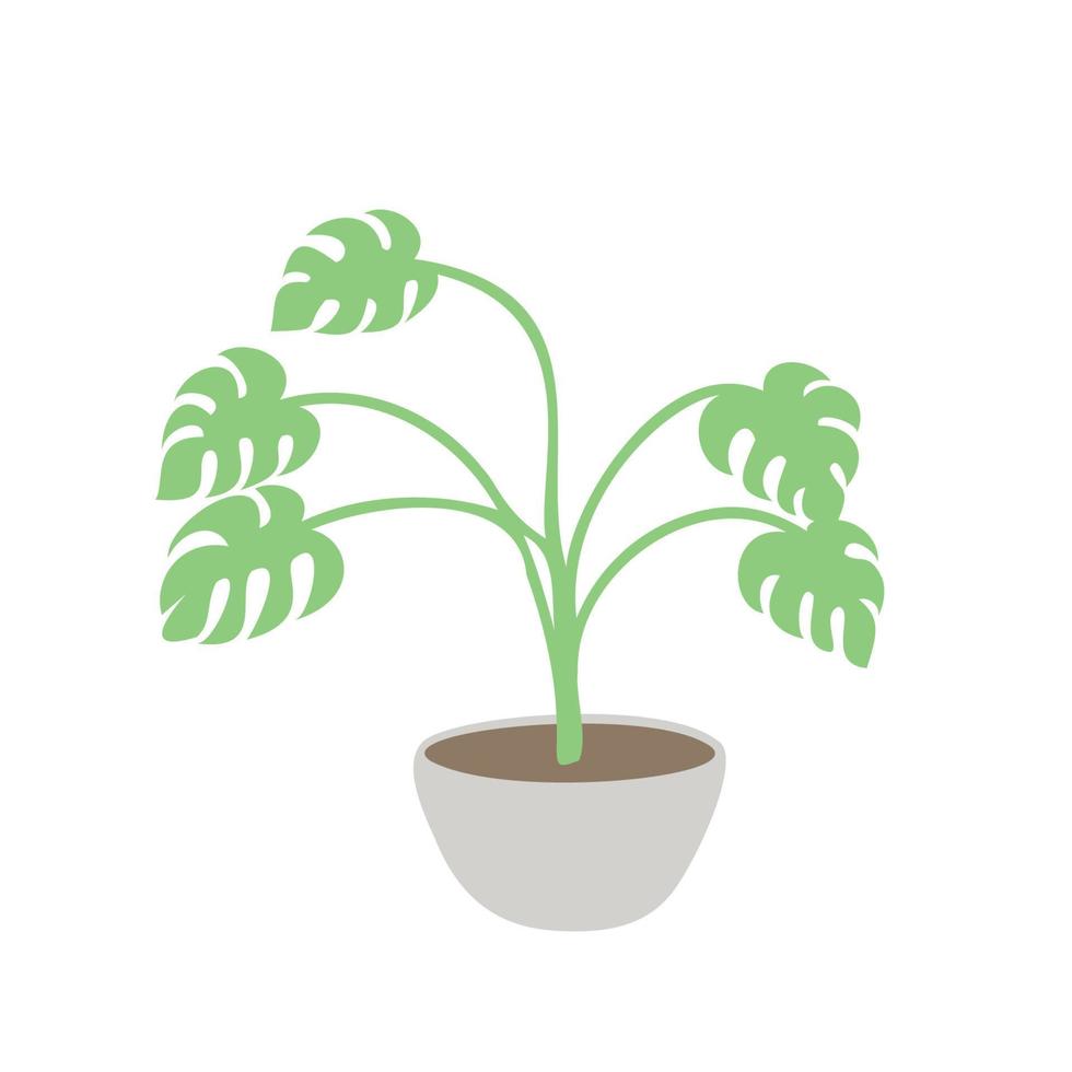 monstera dans un pot dans un style vectoriel plat. plante d'intérieur isolée