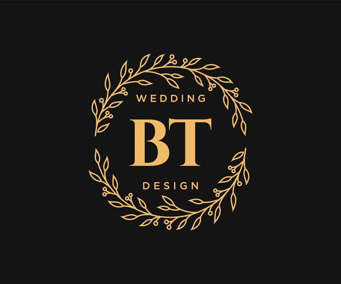 bt initiales lettre mariage monogramme collection de logos, modèles minimalistes et floraux modernes dessinés à la main pour cartes d'invitation, réservez la date, identité élégante pour restaurant, boutique, café en image vectorielle vecteur