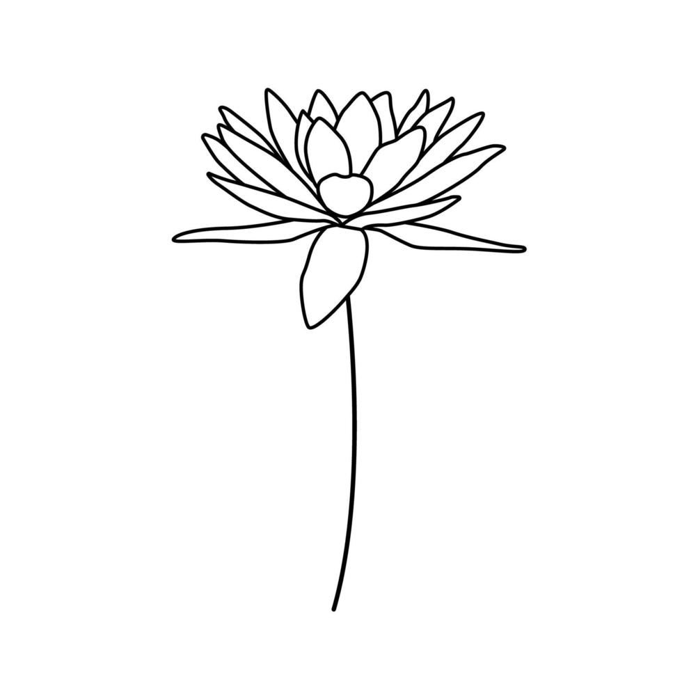 fleur de nénuphar. plante de vecteur de contour isolée sur blanc