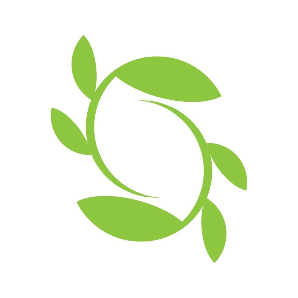 moringa feuille logo modèle vecteur symbole nature