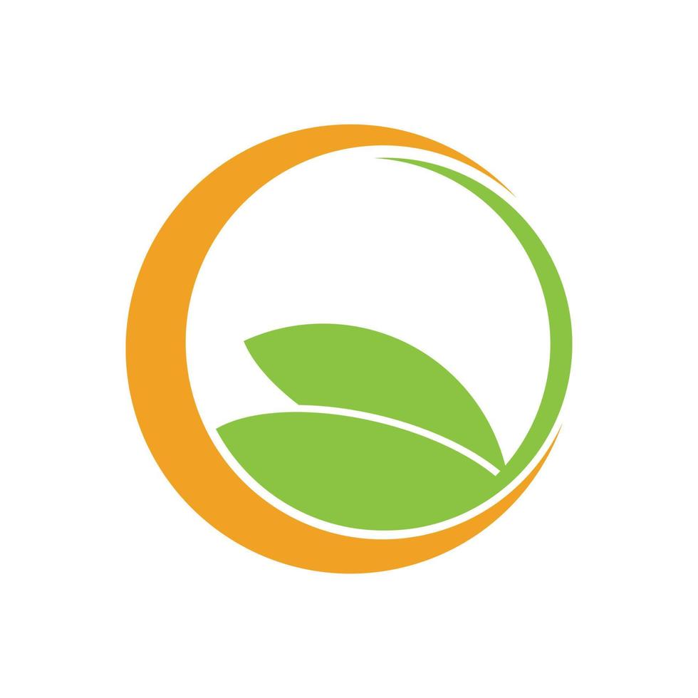 moringa feuille logo modèle vecteur symbole nature