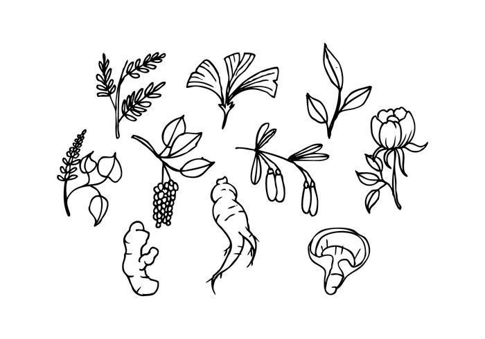 icône libre d'herbes sketch vector