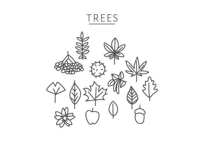 doodle d'éléments d'arbre japonais vecteur