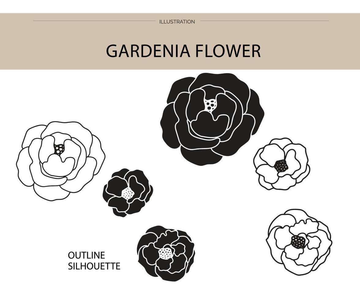 vecteur de silhouette de fleur de gardénia