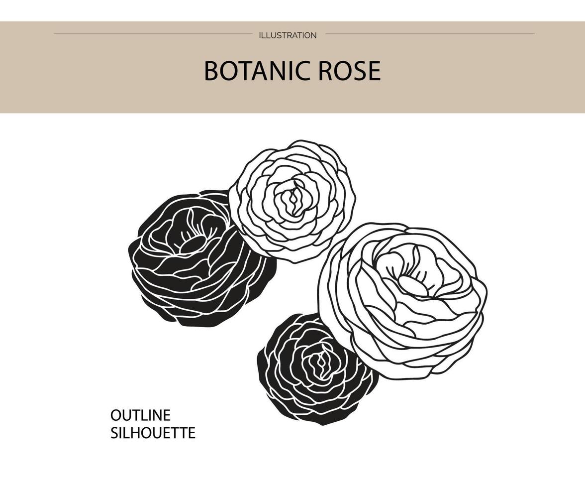 vecteur de silhouette rose botanique