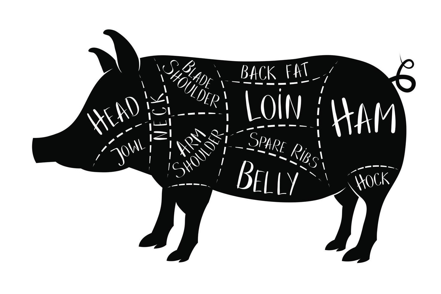 guide du boucher - porc vecteur