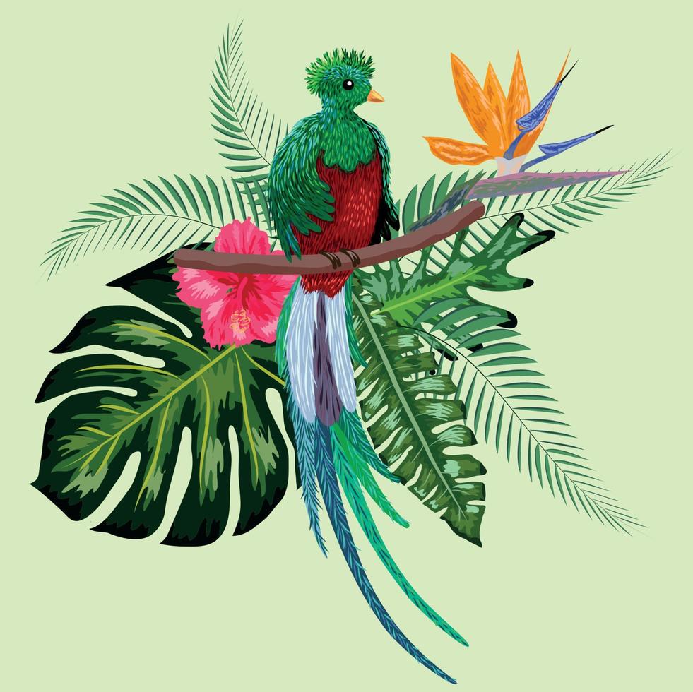 oiseau quetzal dessiné à la main. illustration colorée. quetzal assis sur une branche. vecteur
