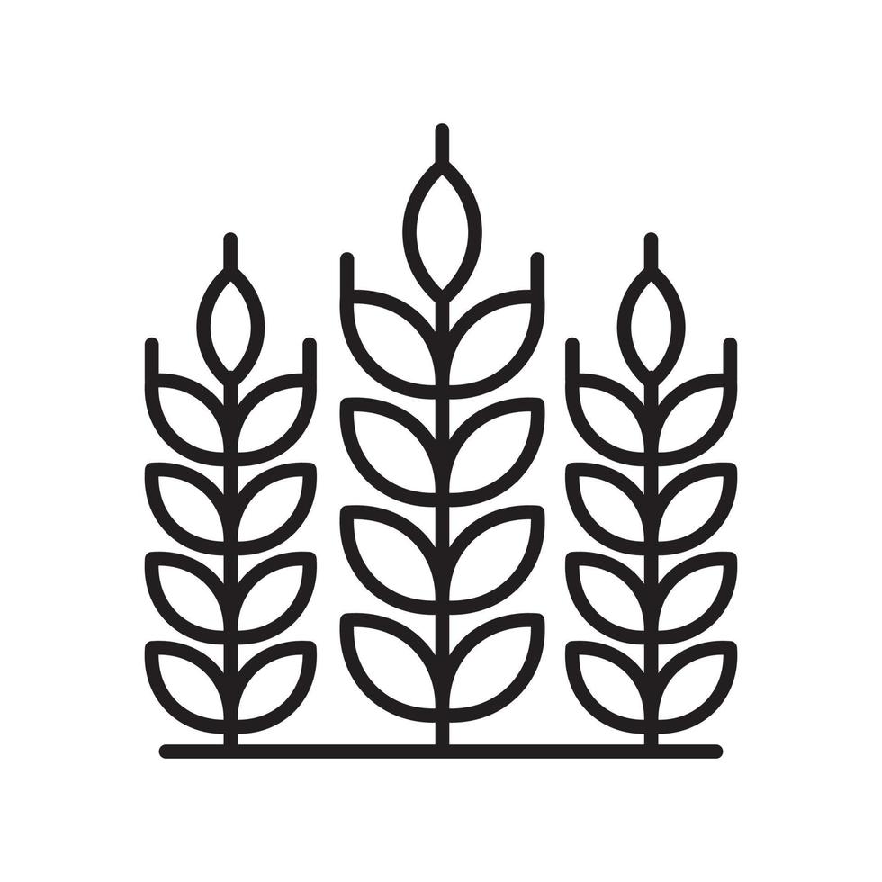 illustration de style d'icône de contour de vecteur de burry de blé. fichier eps10