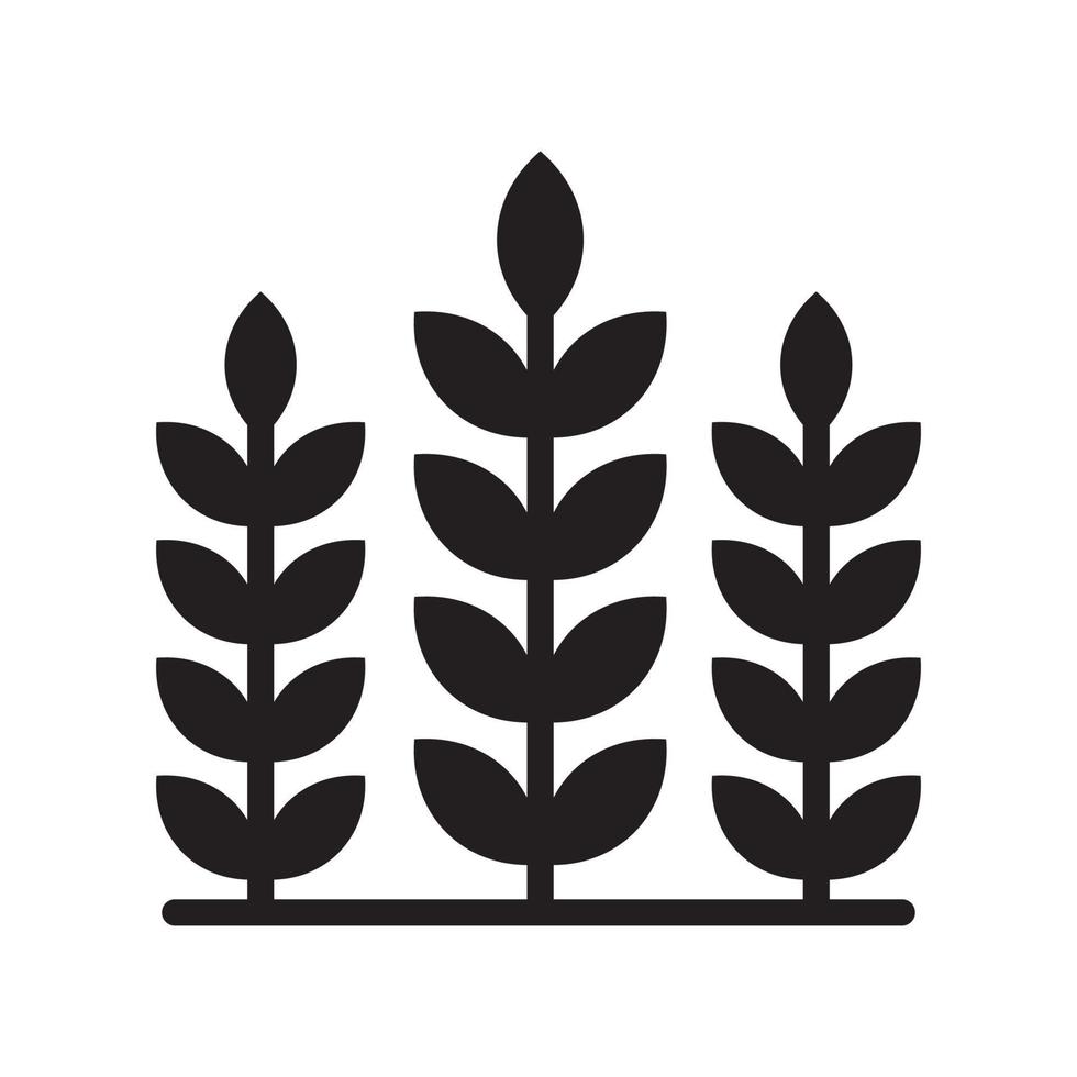 illustration de style d'icône solide vecteur burry de blé. fichier eps10
