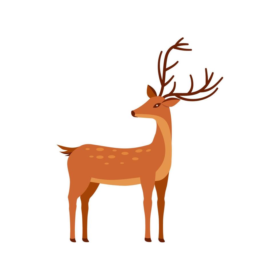 icône de cerf. conception d'animaux de dessin animé. illustration vectorielle isolée sur fond blanc. vecteur