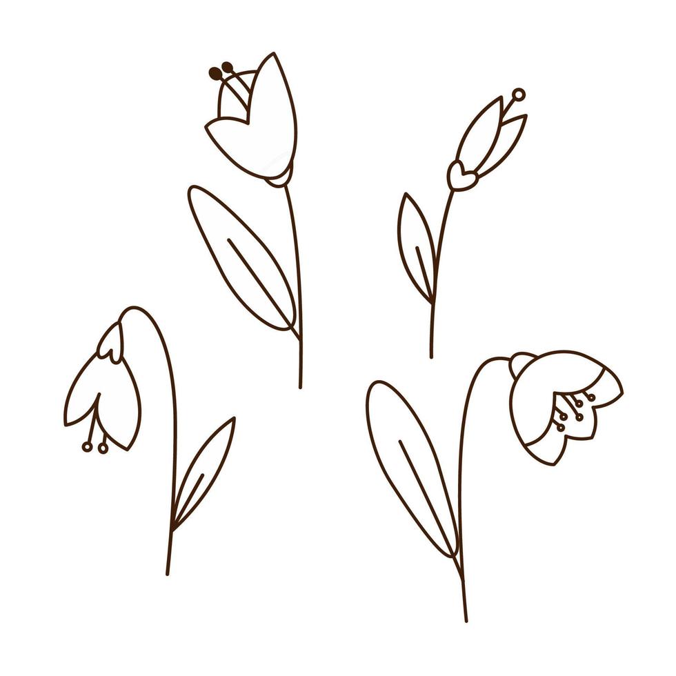 collection de dessins de fleurs de perce-neige. illustration de contour de doodle monochrome. conception de fleur de printemps de dessin animé simple ou ensemble d'éléments de page de coloriage. vecteur