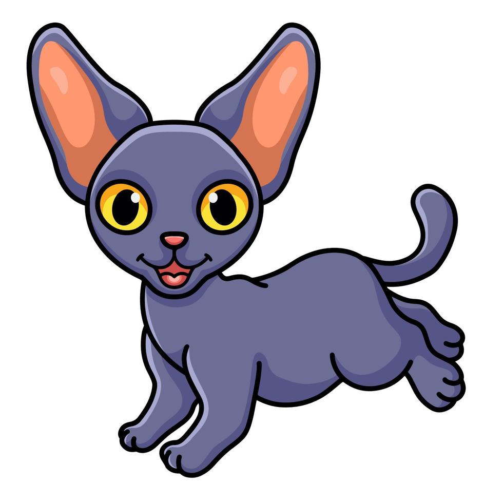 mignon, peterbald, chat, dessin animé, sauter vecteur