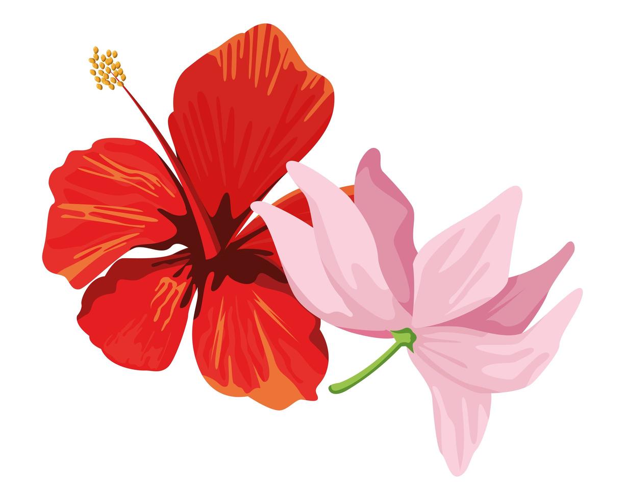 dessin animé hibiscus et fleurs de lotus vecteur