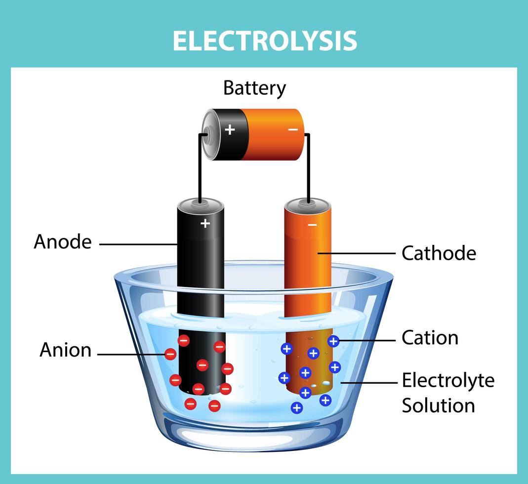 expérience de diagramme d'électrolyse pour l'éducation vecteur