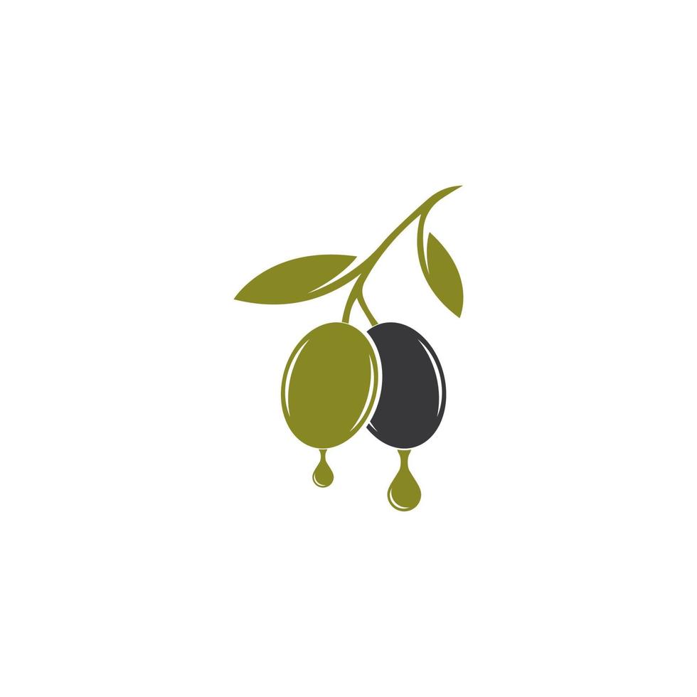 ensemble d'illustration vectorielle logo olive vecteur