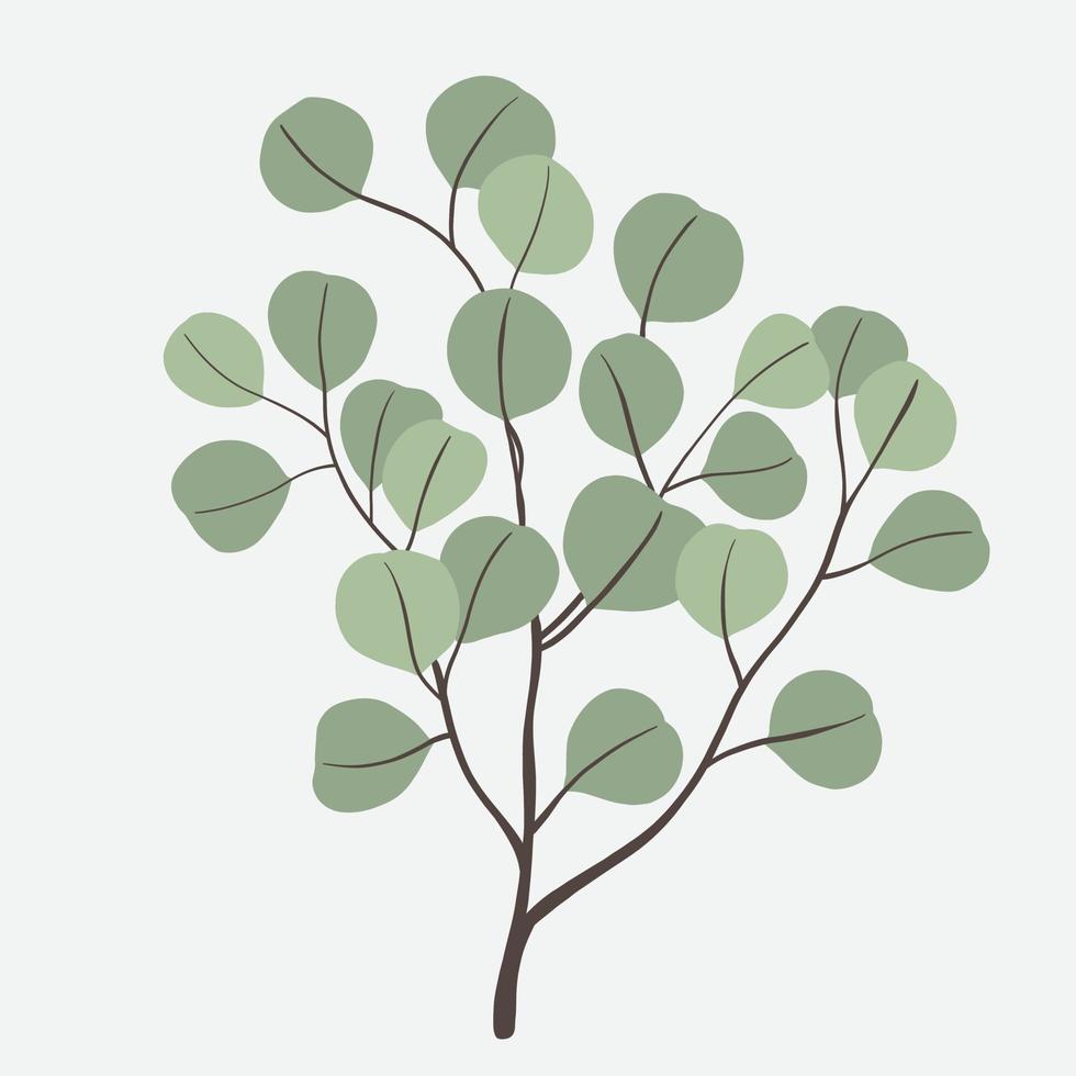 dessin à main levée d'une branche d'eucalyptus. vecteur