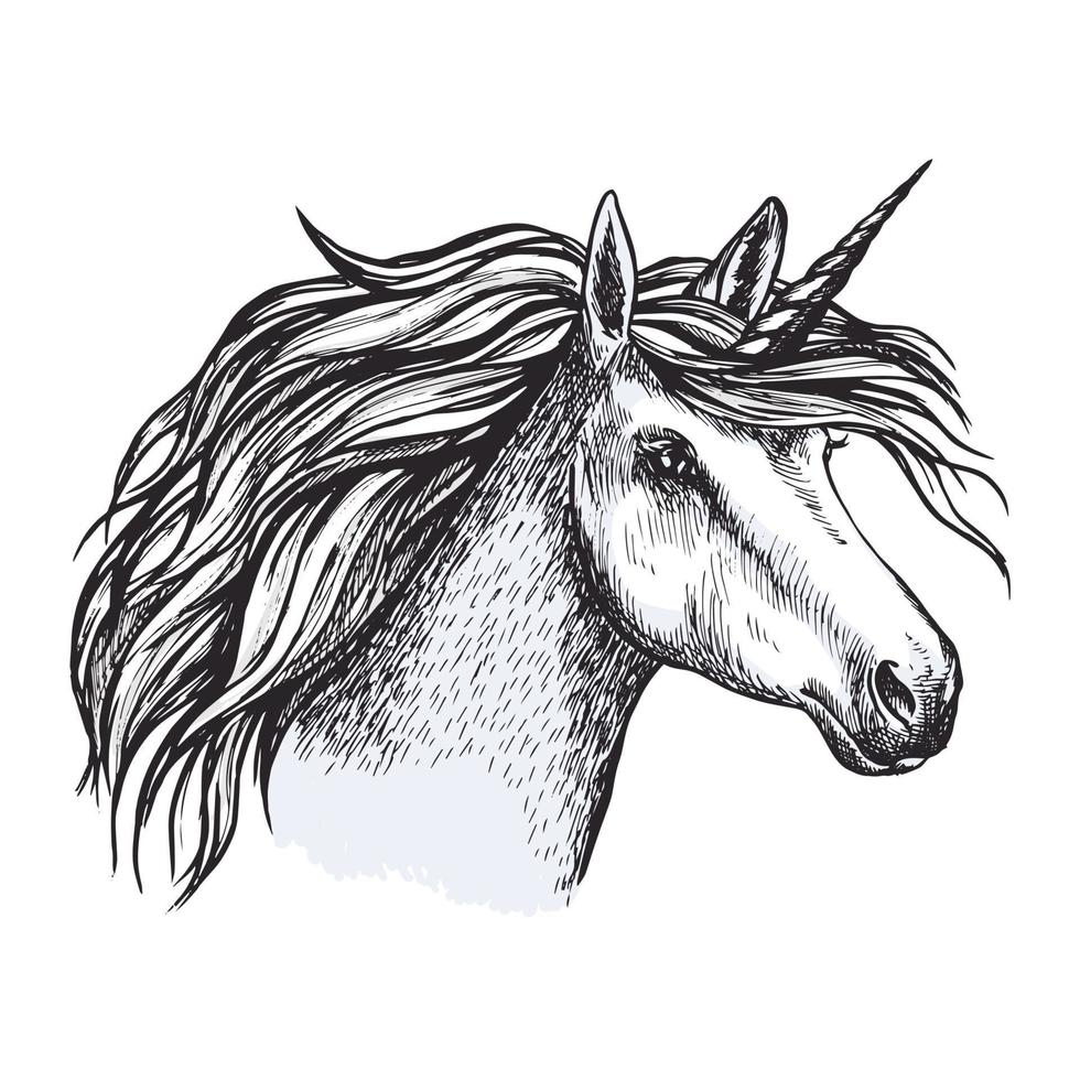 cheval licorne avec corne croquis d'animal magique vecteur