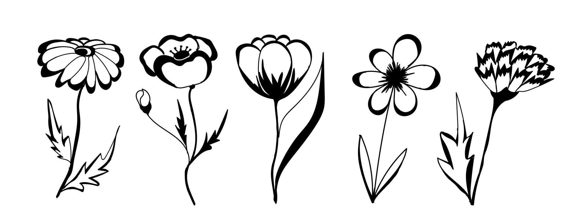 fleurs de printemps. illustration vectorielle vecteur