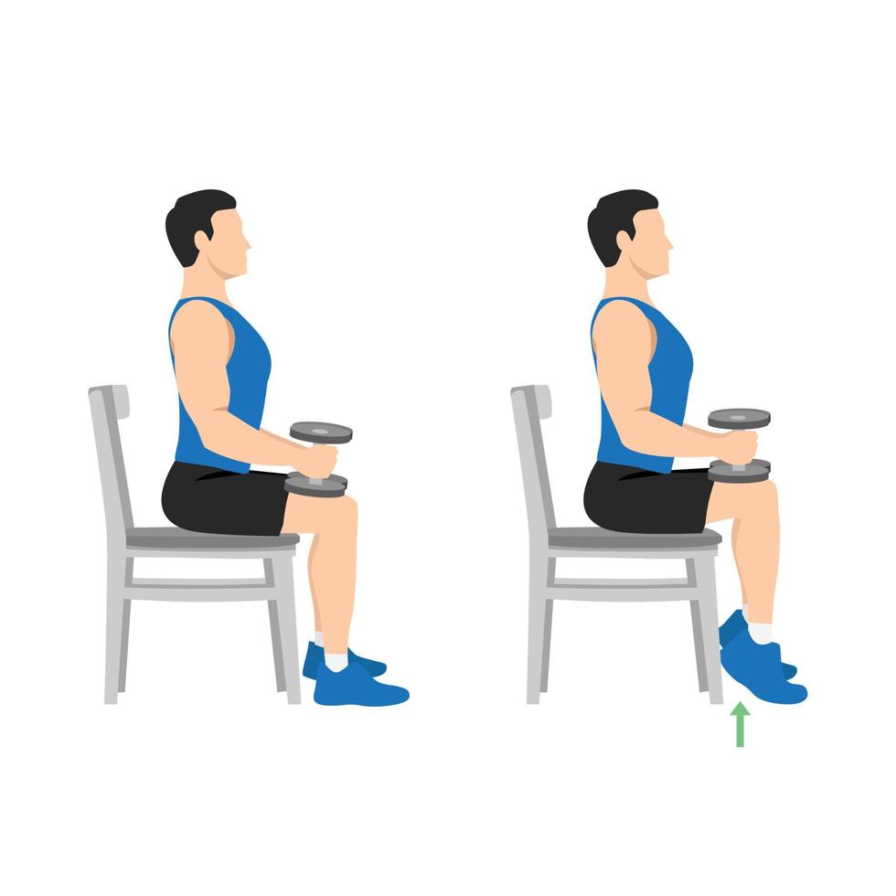 homme faisant des haltères assis ou des soulèvements de mollet de chaise. gardez les deux jambes à un angle de 90 degrés. étendez les talons en poussant les orteils sur le sol et en soulevant les talons en poussant. illustration vectorielle plane vecteur