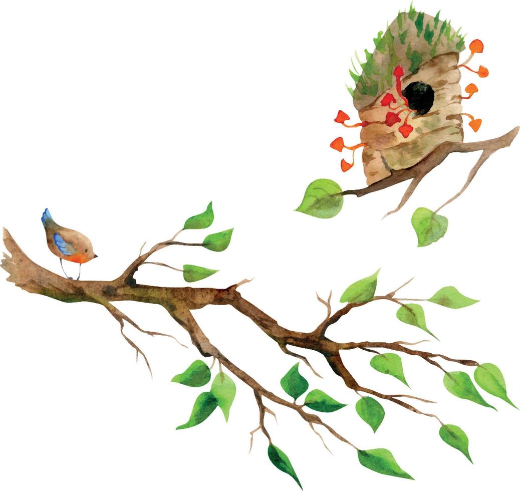 nichoir dessiné à la main à l'aquarelle sur une branche d'arbre, des feuilles, des champignons et un oiseau, isolé sur fond blanc. modèle de conception pour cartes, sacs-cadeaux, invitations, textile, impression, papier peint, pour enfants vecteur