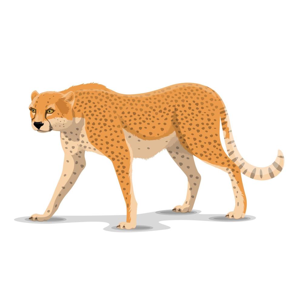 dessin animé guépard animal sauvage, vecteur