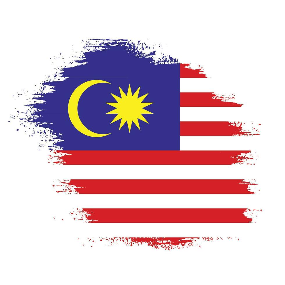 coup de pinceau isolé vecteur drapeau malaisie