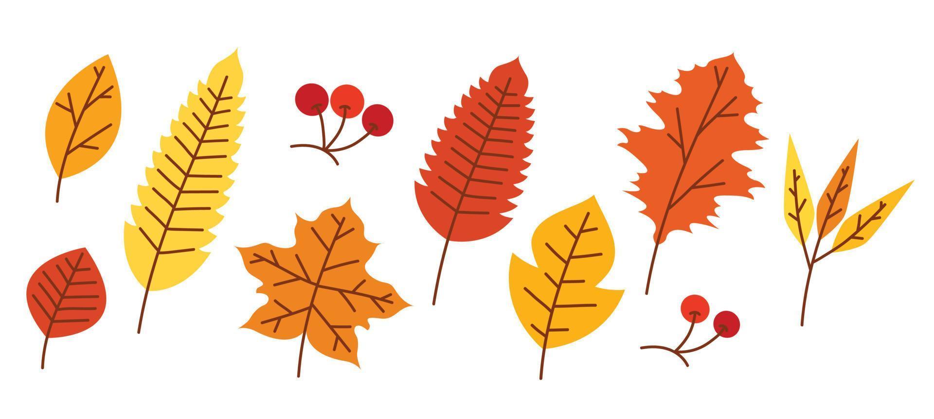 feuilles d'automne éléments illustration vectorielle vecteur