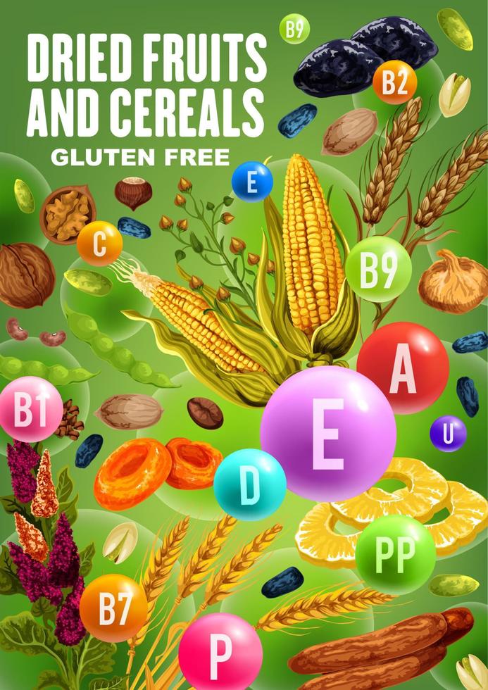 vitamines dans les fruits secs, les noix et les céréales vecteur