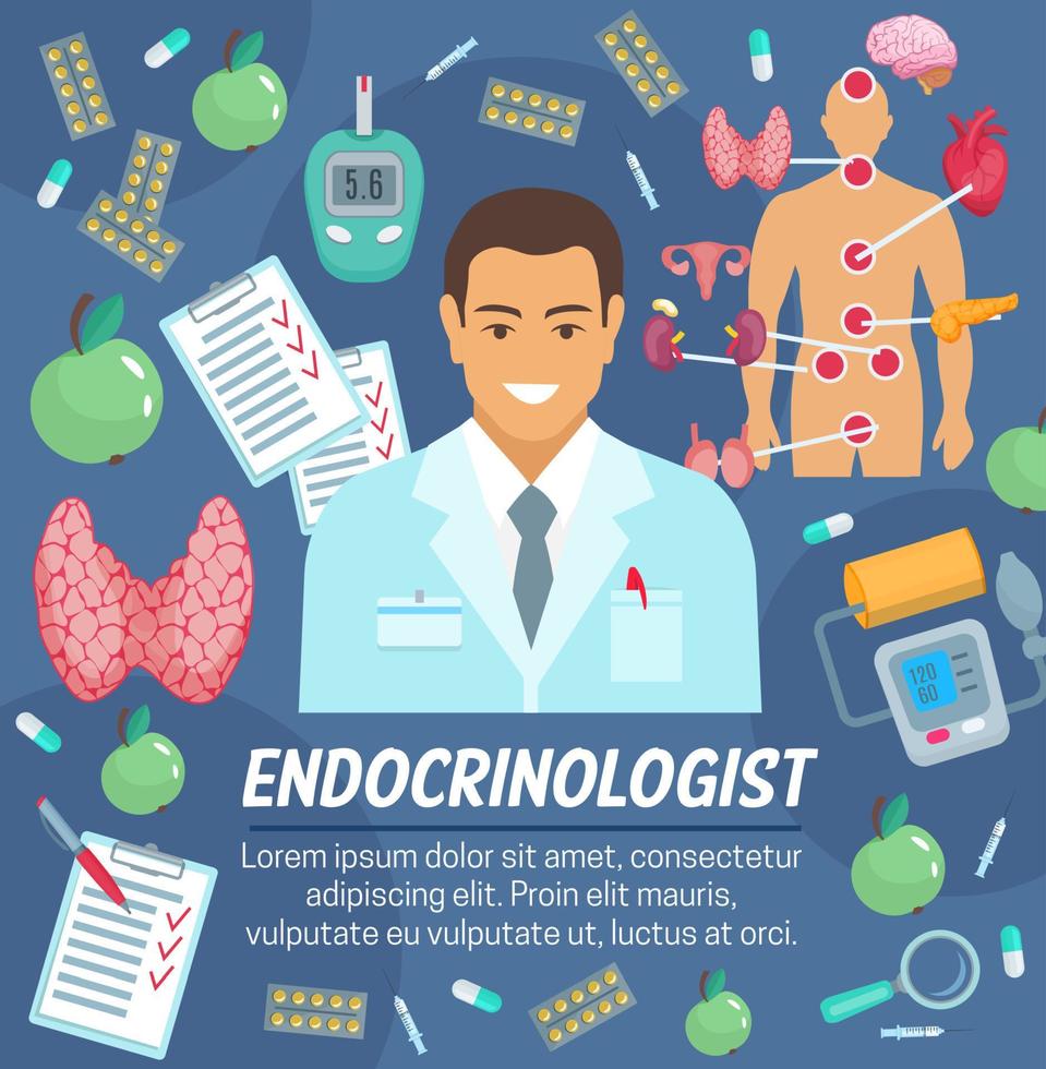 médecin endocrinologue et médecin endocrinologue vecteur