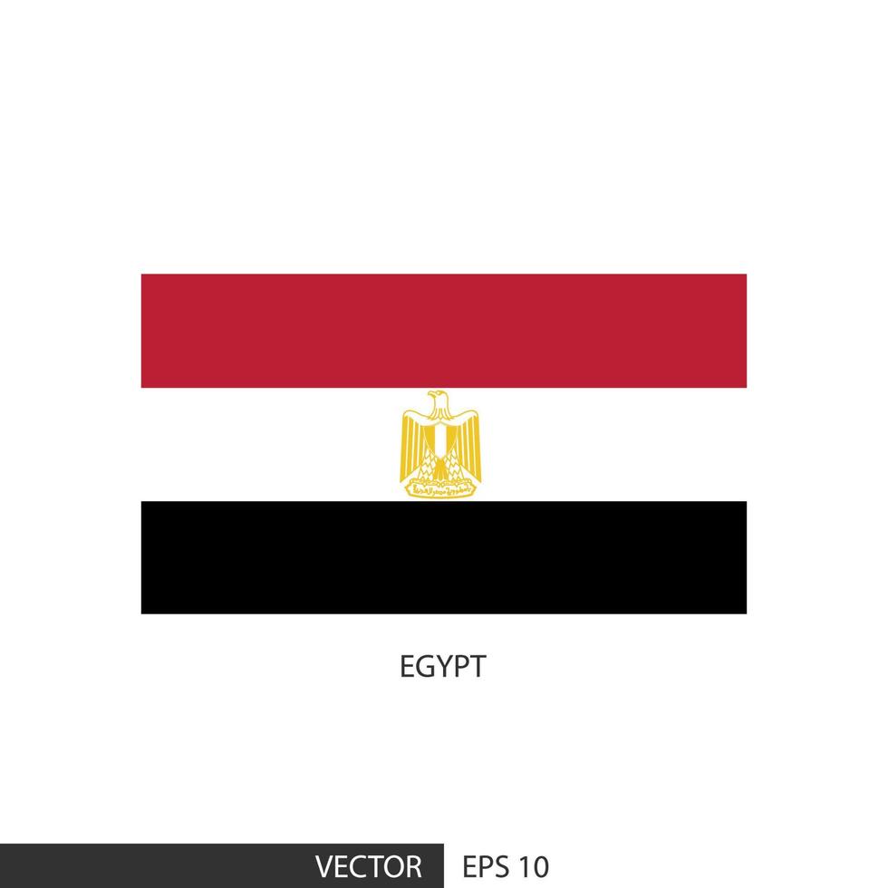 drapeau carré de l'egypte sur fond blanc et spécifiez qu'il s'agit d'un vecteur eps10.