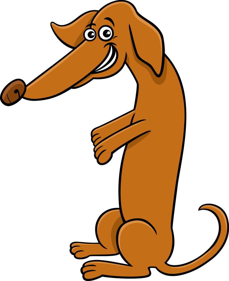 dessin animé teckel chien personnage animal comique vecteur