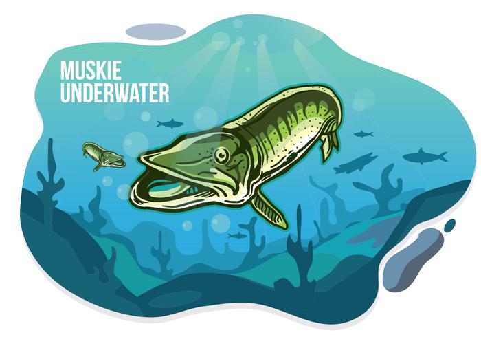 Illustration sous marine du Muskie vecteur