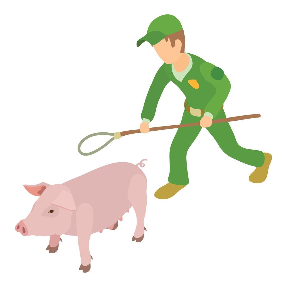 vecteur isométrique d'icône de capture de cochon. homme avec nœud coulant pour piéger un animal domestique