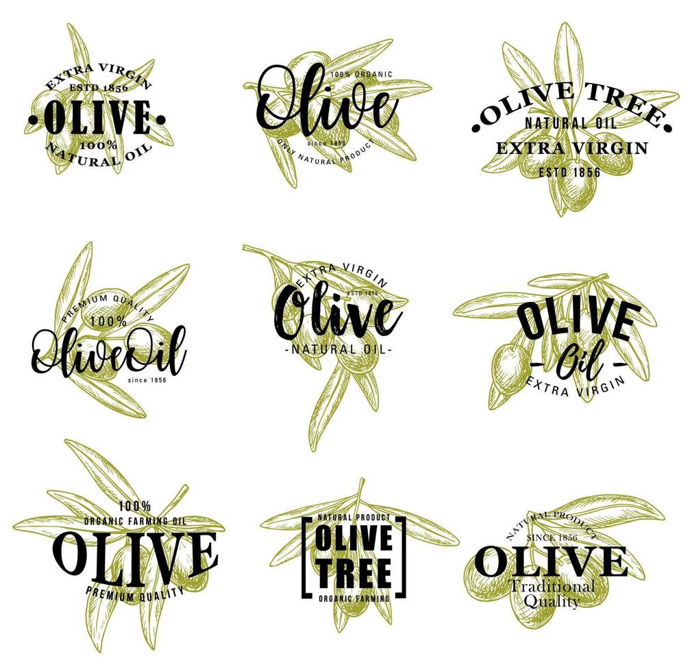 icônes d'huile d'olive et de branches, lettrage vectoriel