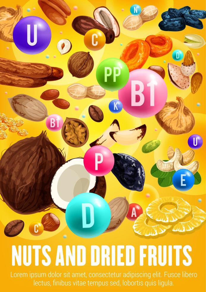 complexe de multivitamines dans les noix et les fruits secs vecteur