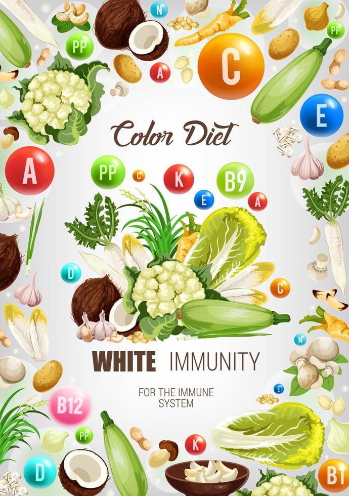 couleur régime blanc sain immunité nourriture nutrition vecteur